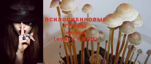 ешки Абаза