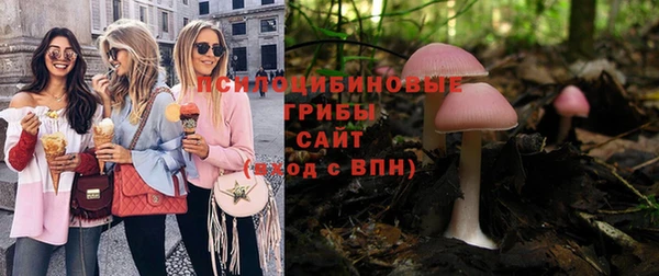 молекула духа Алзамай