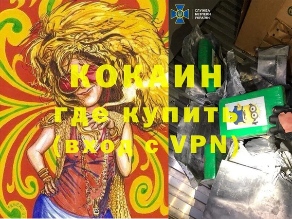 индика Абинск
