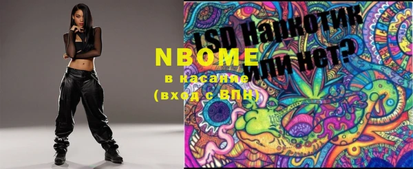 индика Абинск