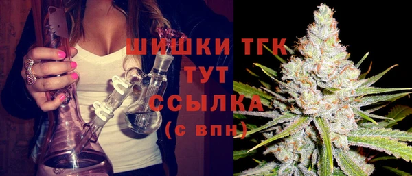 индика Абинск