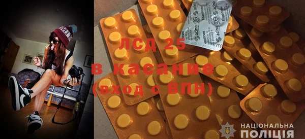 индика Абинск
