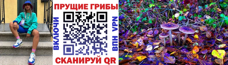 Псилоцибиновые грибы прущие грибы  Абакан 